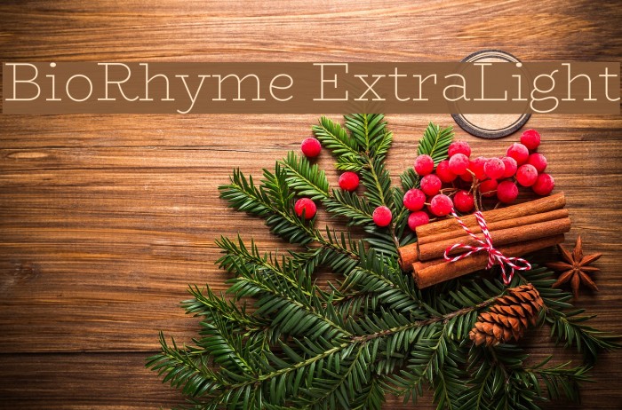 BioRhyme ExtraLight Шрифта examples