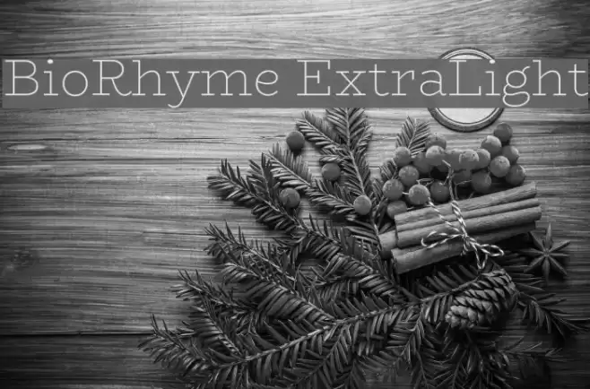 BioRhyme ExtraLight Шрифта examples