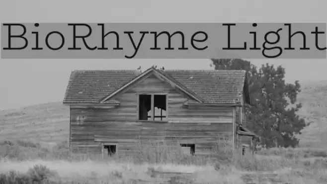 BioRhyme Light Font examples