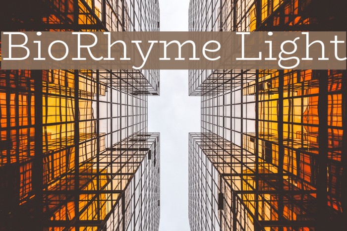 BioRhyme Light Font examples