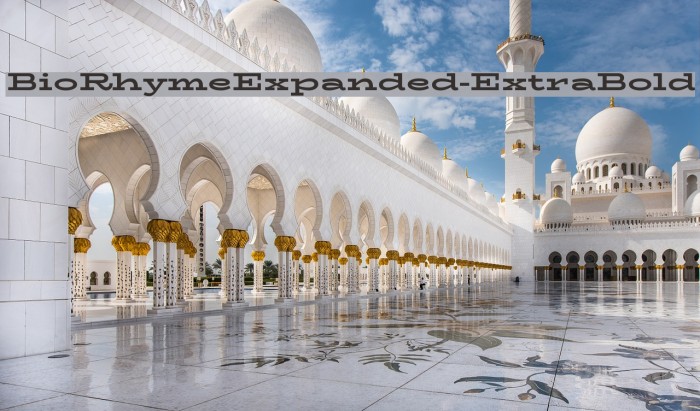 BioRhymeExpanded-ExtraBold Example 1