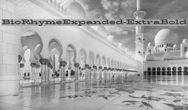 BioRhymeExpanded-ExtraBold Font examples