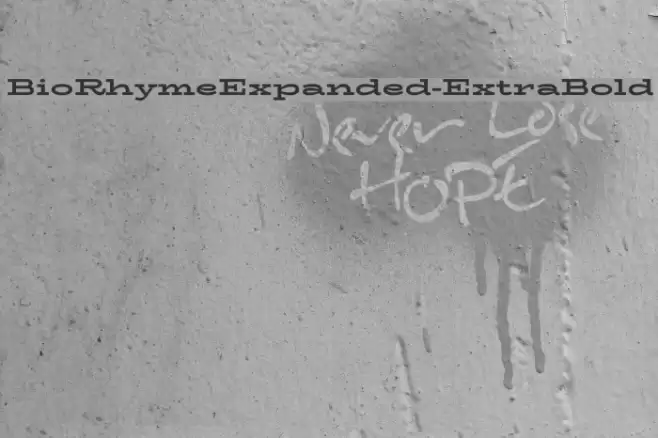 BioRhymeExpanded-ExtraBold Font examples