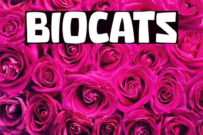 Biocats Example 1