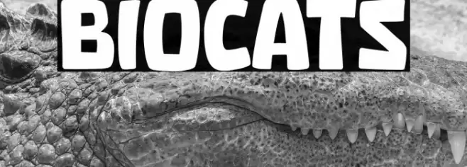 Biocats Font examples