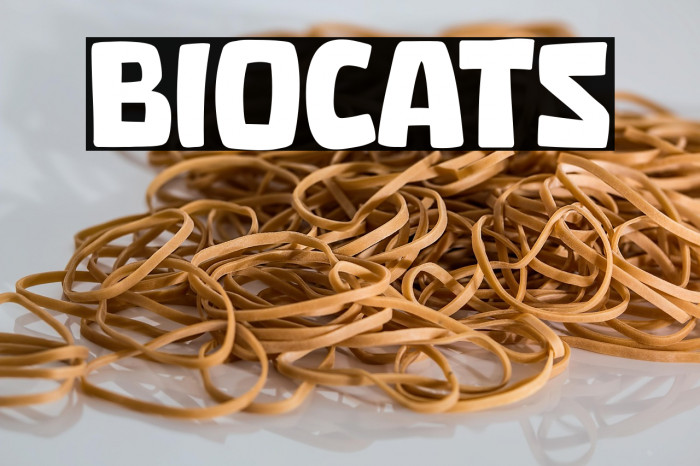 Biocats Example 3