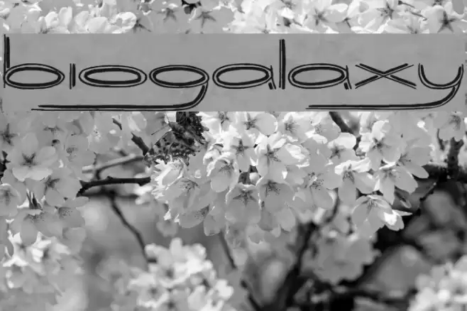 Biogalaxy Font examples
