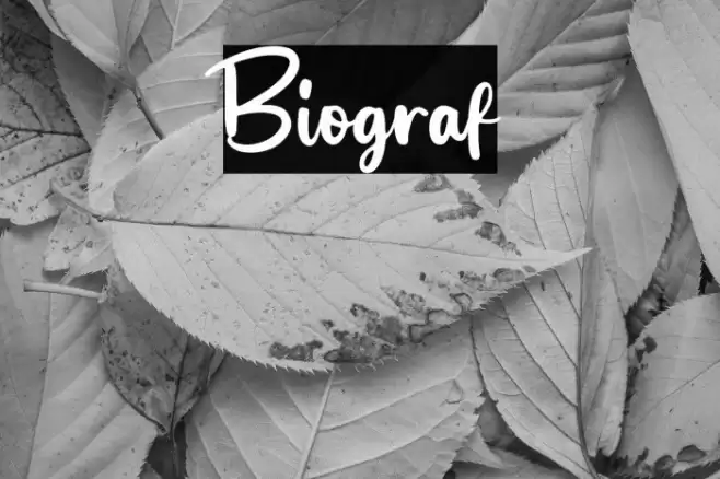 Biograf Font examples