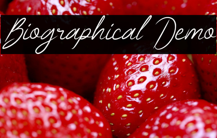 Biographical Demo Example 1