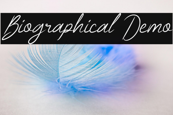 Biographical Demo Example 3