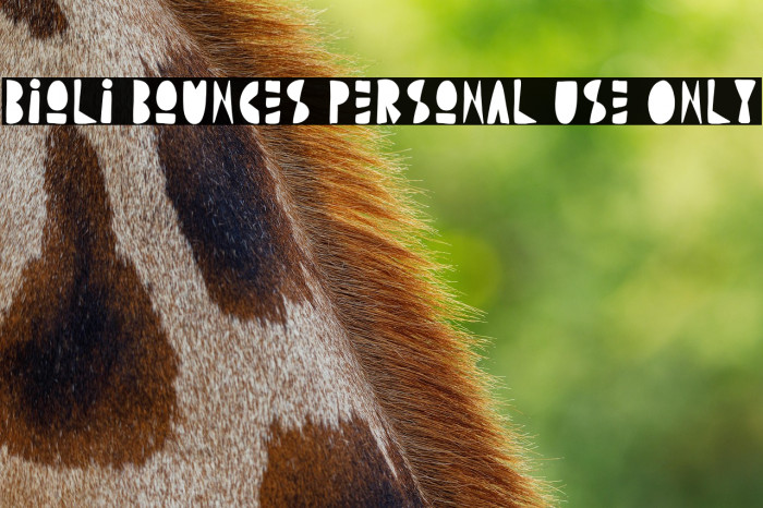 Bioli Bounces Personal Use Only Example 2