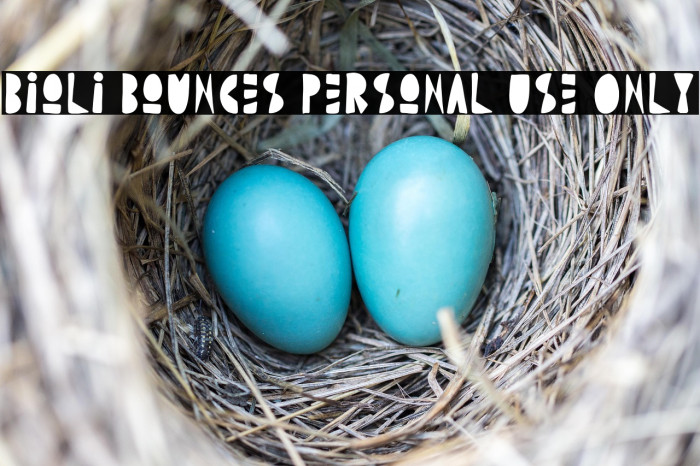 Bioli Bounces Personal Use Only Example 3