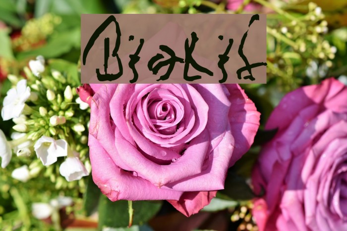 Biolid Font examples