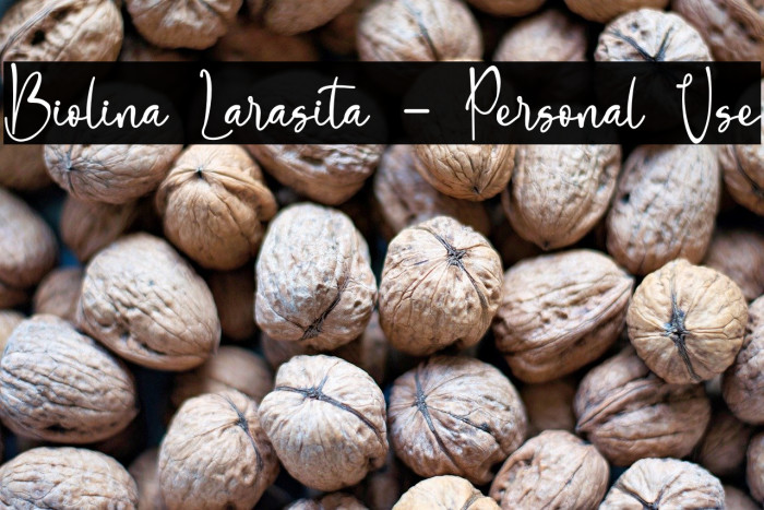 Biolina Larasita - Personal Use Example 1