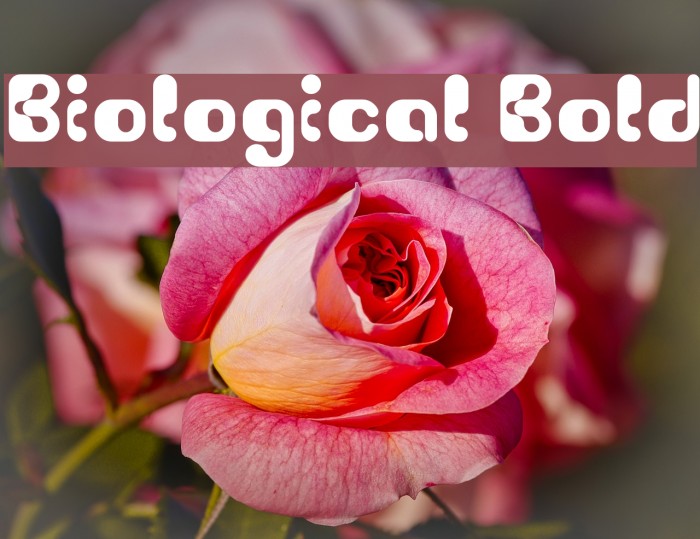 Biological Bold Font examples