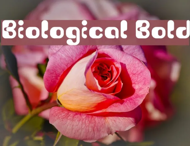 Biological Bold Example 2