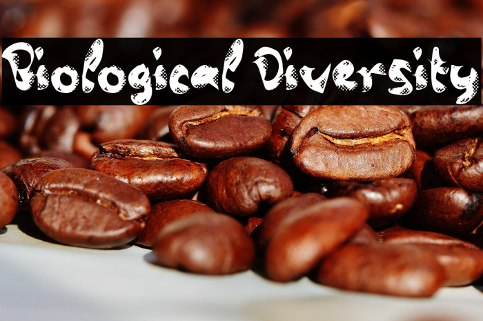 Biological Diversity Example 1