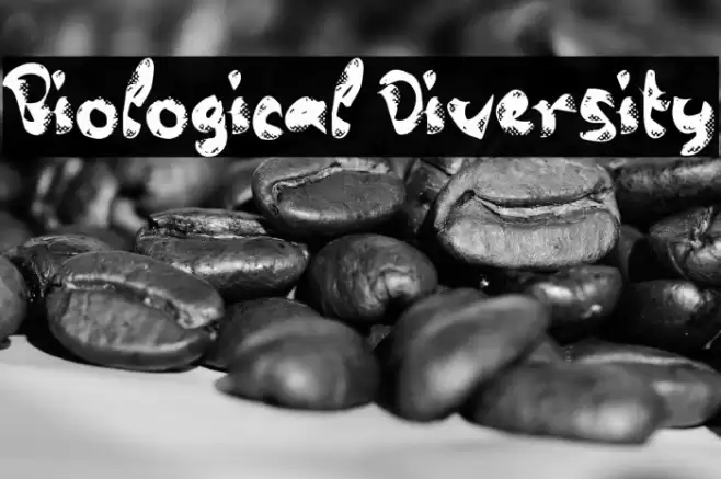 Biological Diversity Font examples