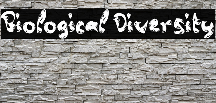 Biological Diversity Example 3
