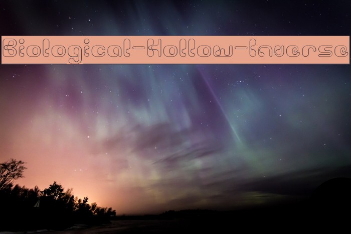 Biological-Hollow-Inverse Example 2