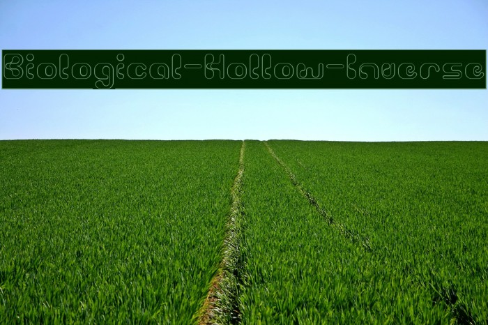 Biological-Hollow-Inverse Example 3