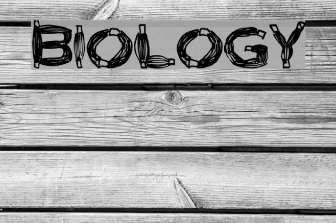 Biology Font examples