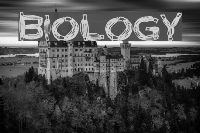 Biology Font examples