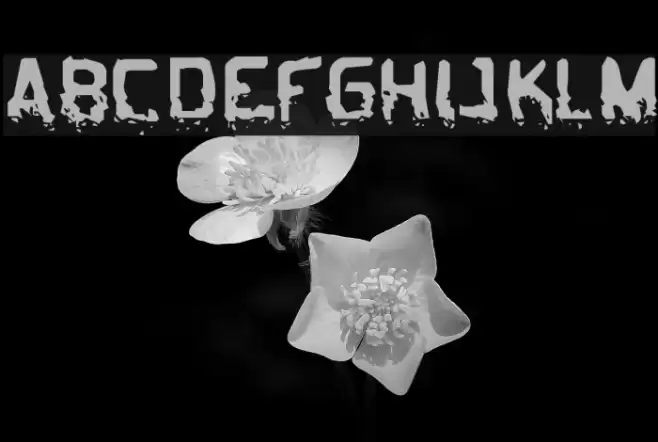 Biometric Joe Font examples