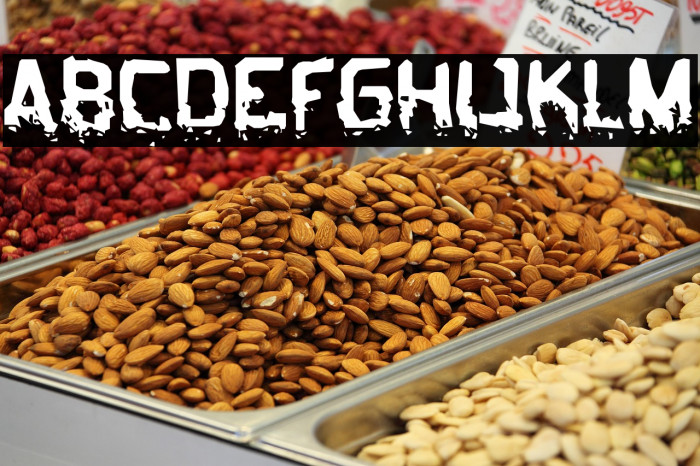 BiometricJoe-Regular Example 3