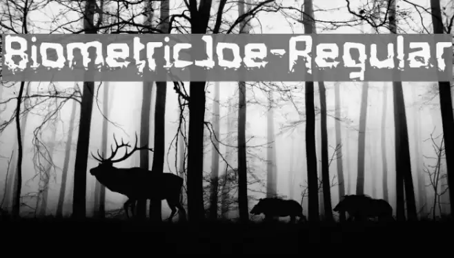 BiometricJoe-Regular Font examples