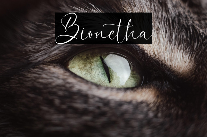 Bionetha Example 1