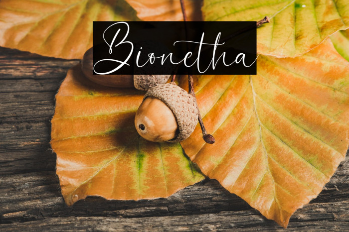 Bionetha Example 3
