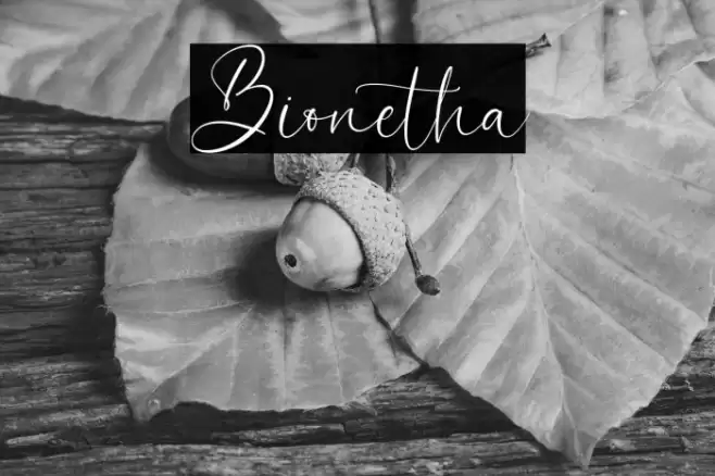 Bionetha Font examples
