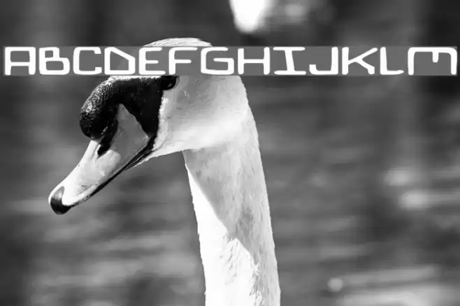 Bionic Comic Expanded フォント examples