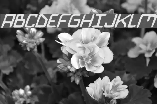 Bionic Comic Italic フォント examples