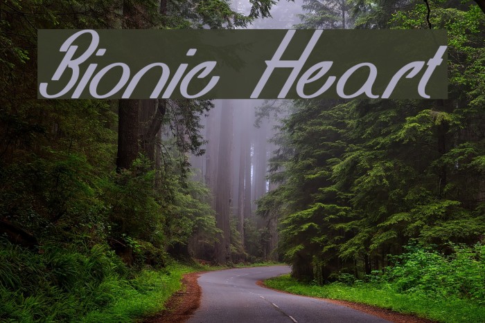 Bionic Heart Font examples