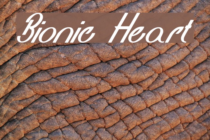 Bionic Heart Font examples