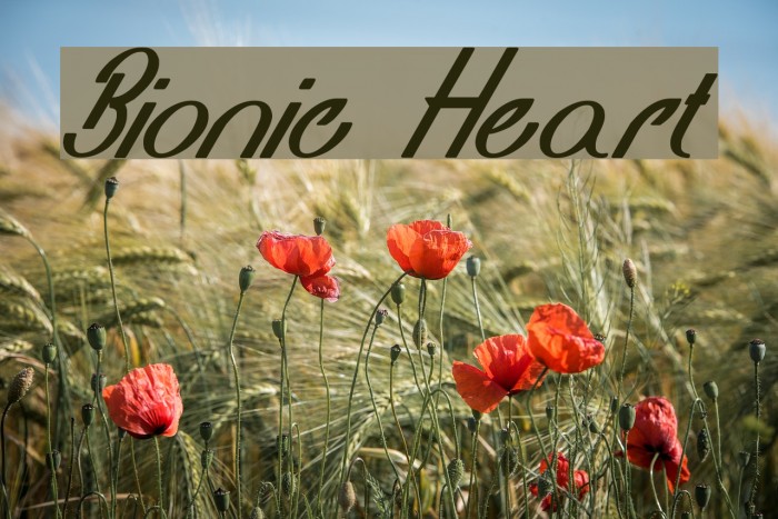 Bionic Heart Font examples