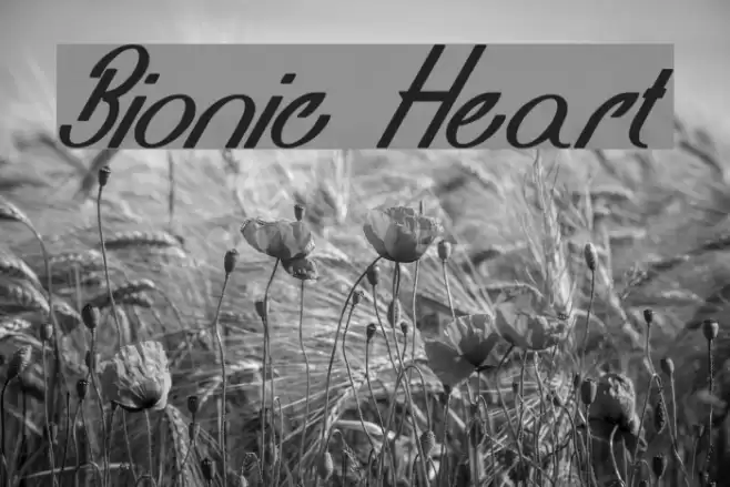 Bionic Heart Font examples