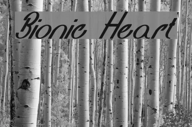 Bionic Heart Font examples