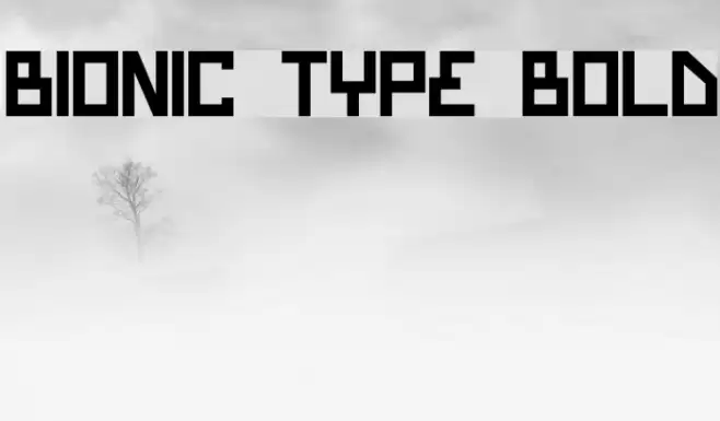 Bionic Type Bold Font examples