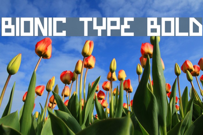Bionic Type Bold Font examples