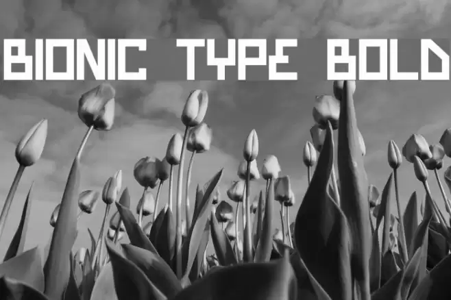 Bionic Type Bold Font examples