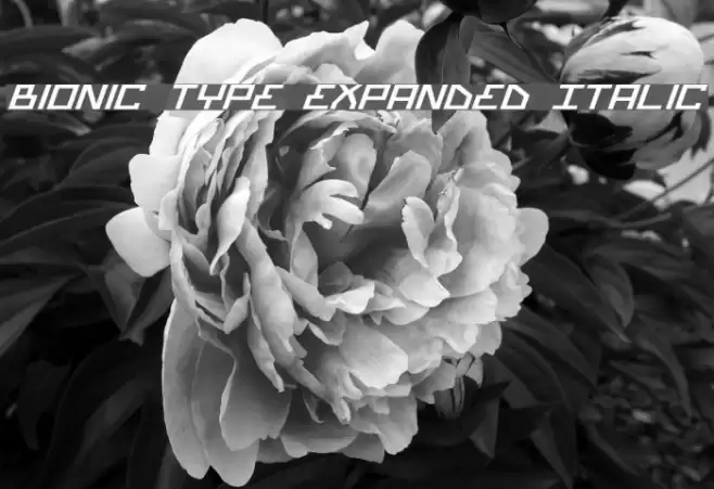 Bionic Type Expanded Italic Font examples