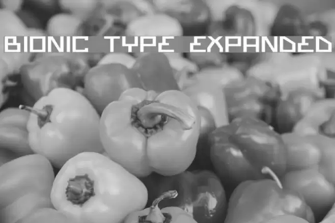 Bionic Type Expanded Schriftart examples