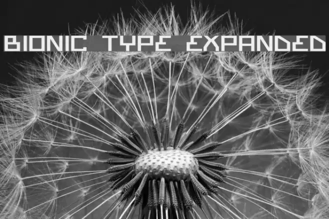 Bionic Type Expanded Schriftart examples