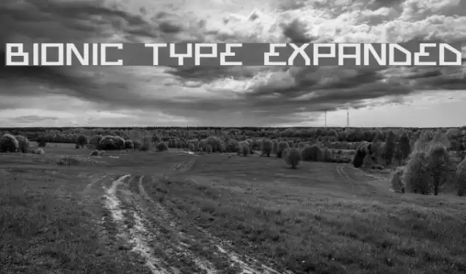 Bionic Type Expanded Schriftart examples