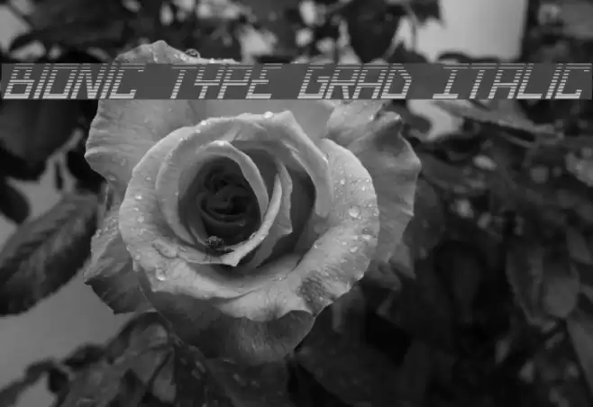 Bionic Type Grad Italic Font examples