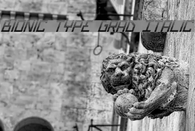 Bionic Type Grad Italic Font examples