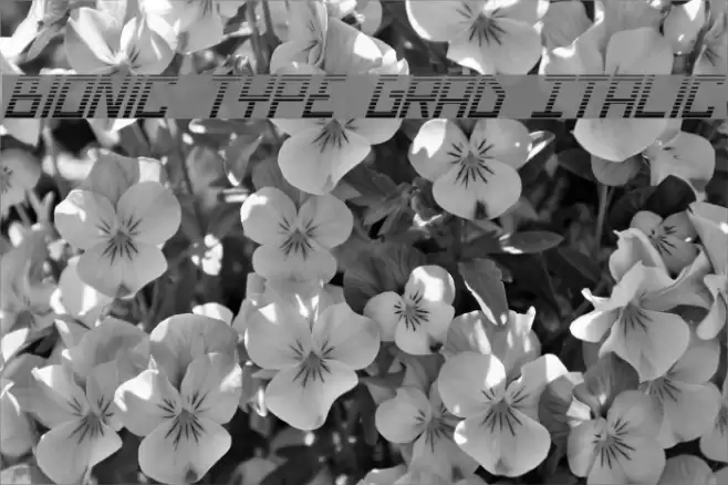 Bionic Type Grad Italic Font examples